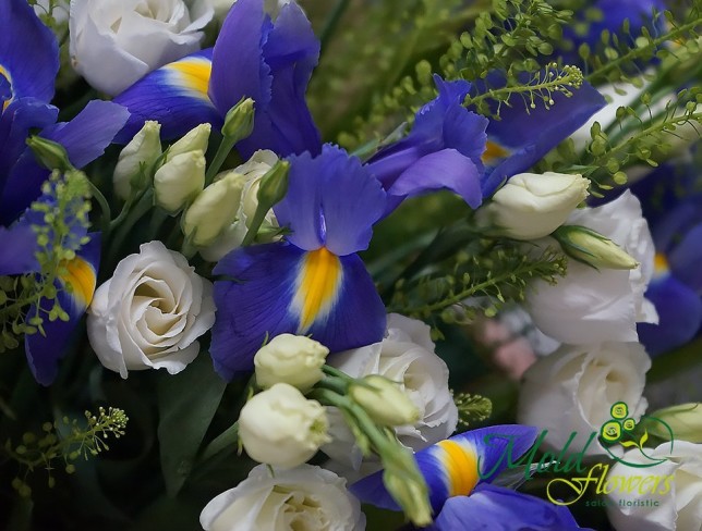 Buchet cu iris violet și eustome albe foto